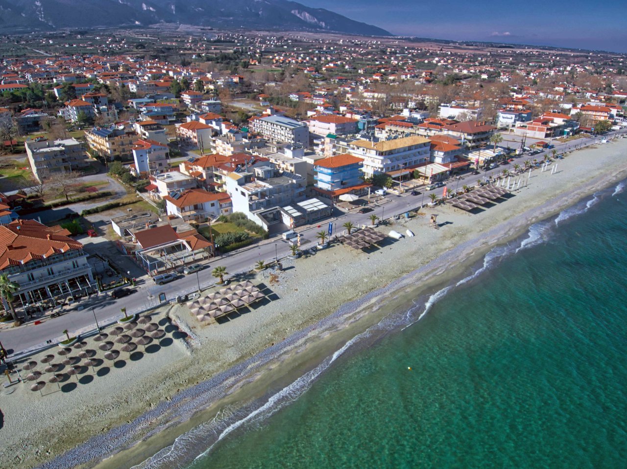 Leptokarya